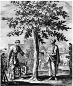Epictetus, Jesus, and the Fig Tree